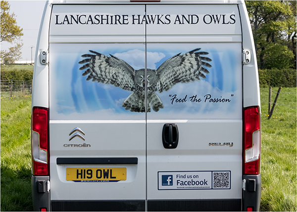 Lancashire Hawks And Owls