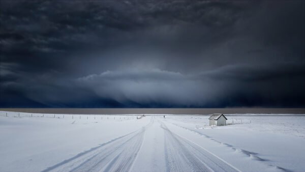 Print And Digital Photographer Of The Year