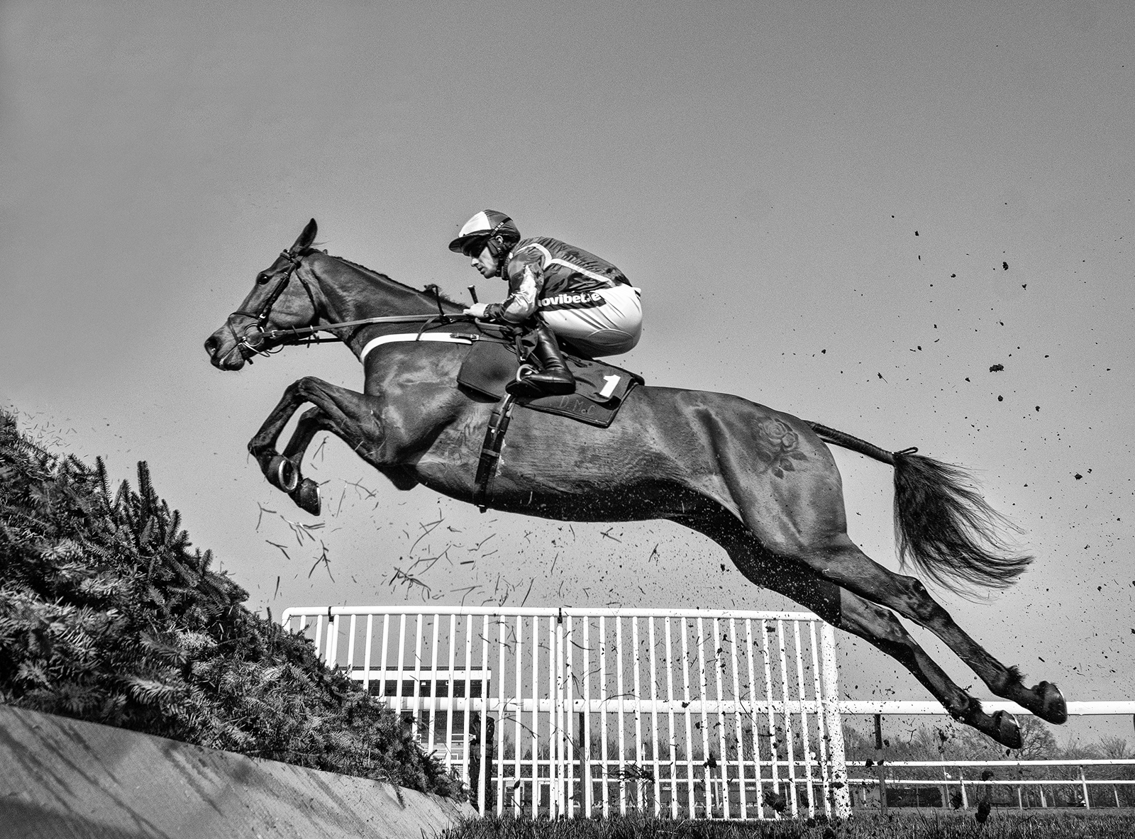 Poetry In Motion by Brian Clark