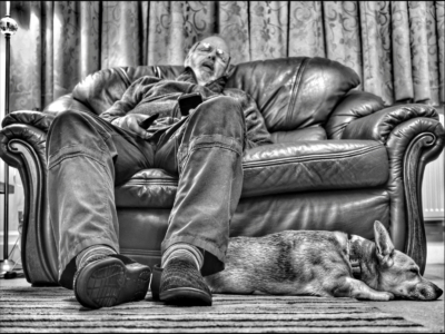 Commended - Dog Tired By Peter Cotton