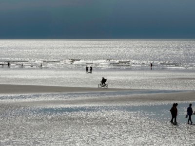 Commended - Lowry Shore By Anthony Hull