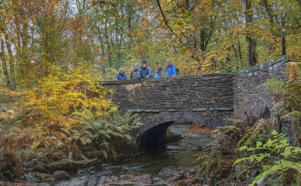 Photowalk To Tockhole Woodland