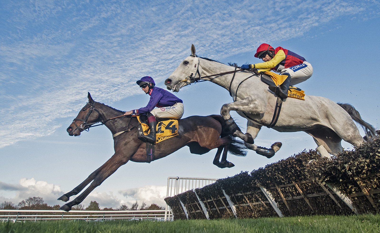 Determined To Win by Brian Clark