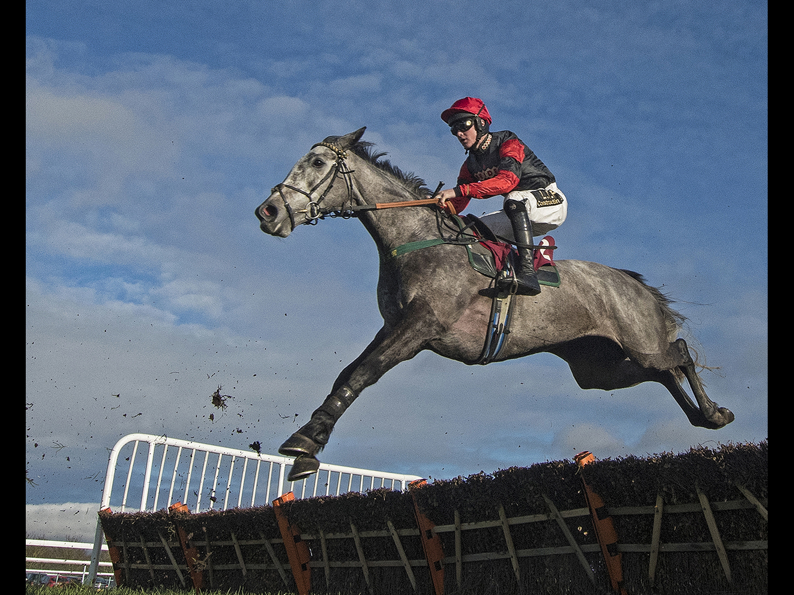 Flying Grey by Brian Clark