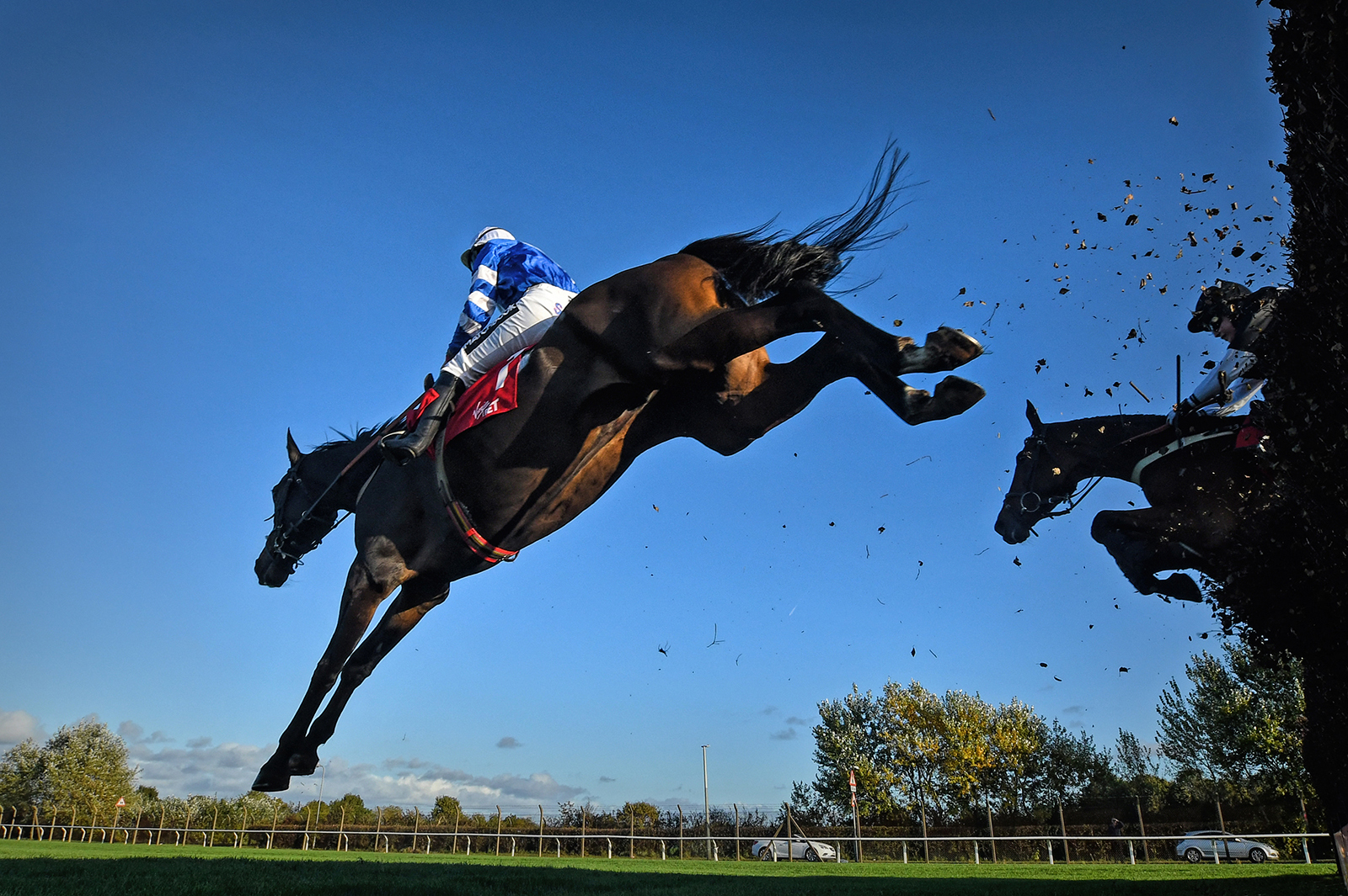 Catch Me If You Can by Brian Clark