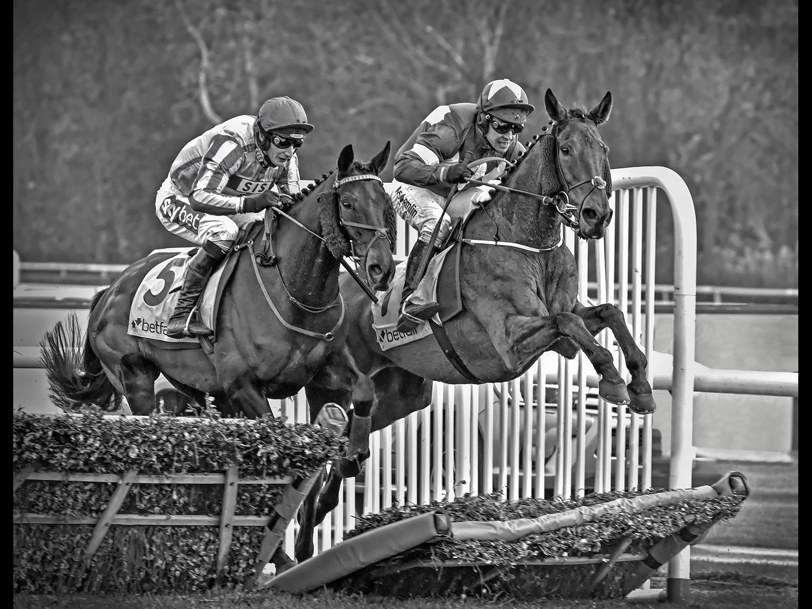 Through The Gap by Brian Clark