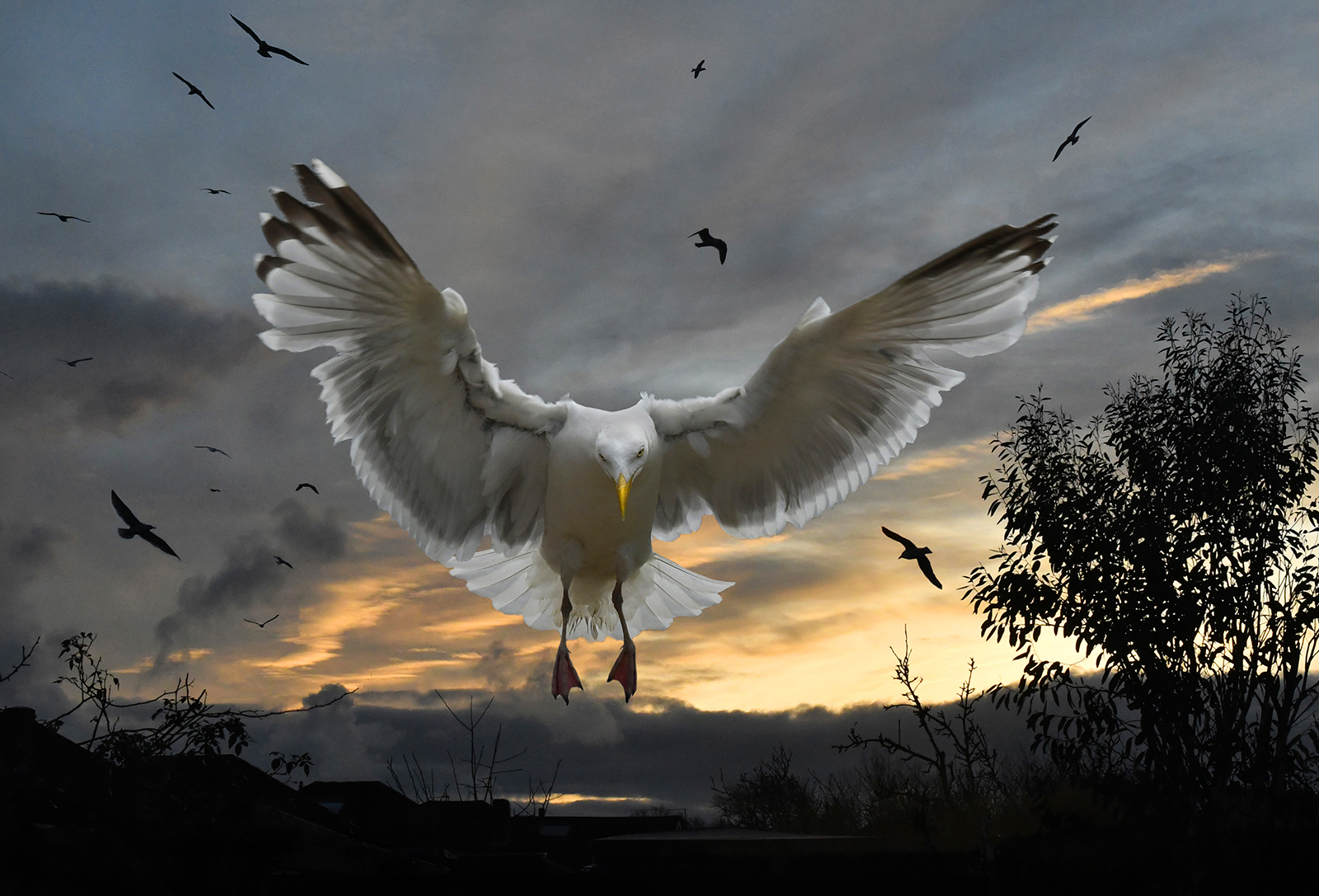 Dawn Raiders by Brian Clark