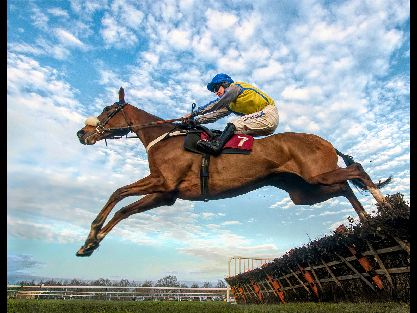 Sky Jumper by Brian Clark