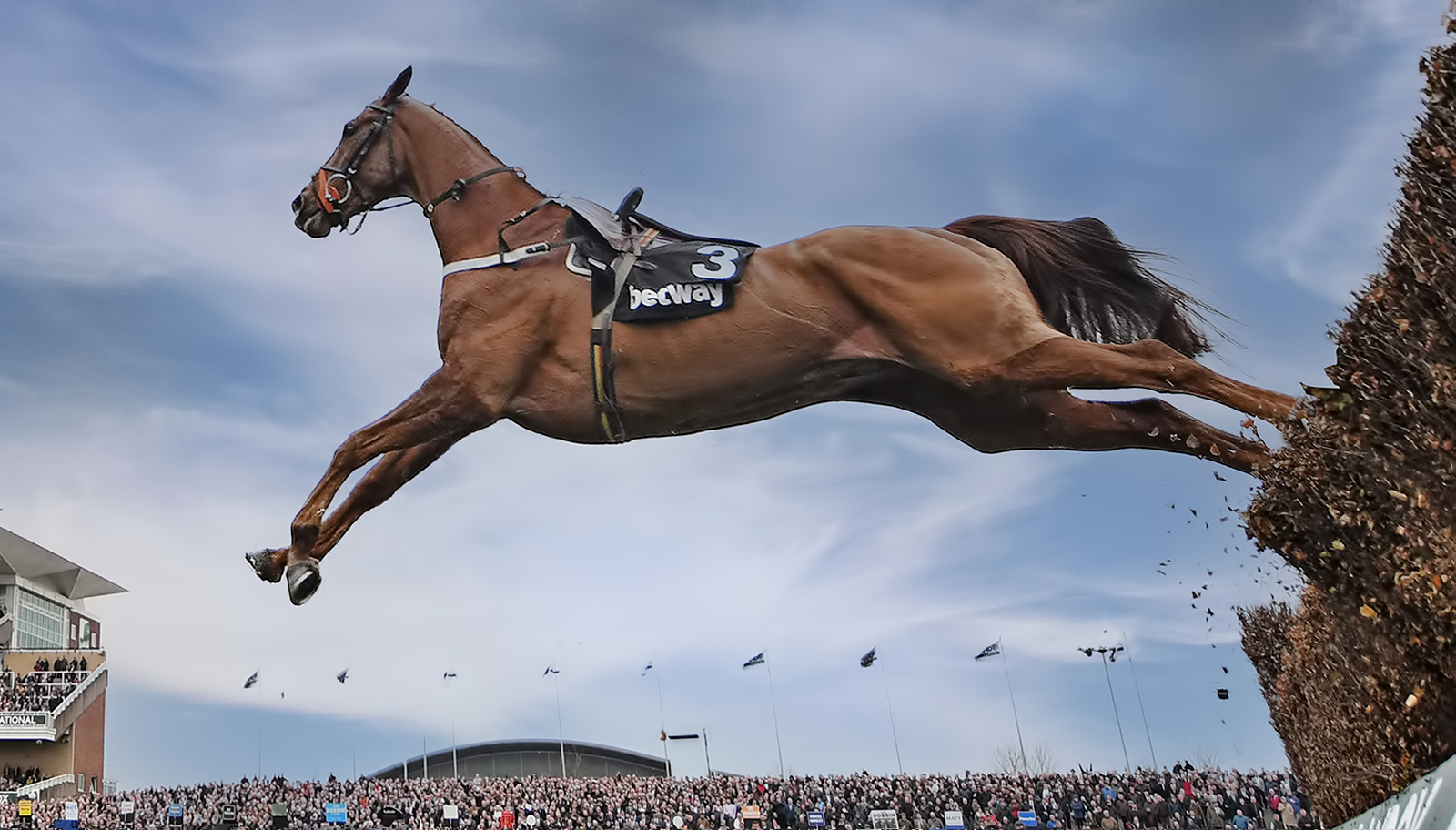 Horse Power by Brian Clark