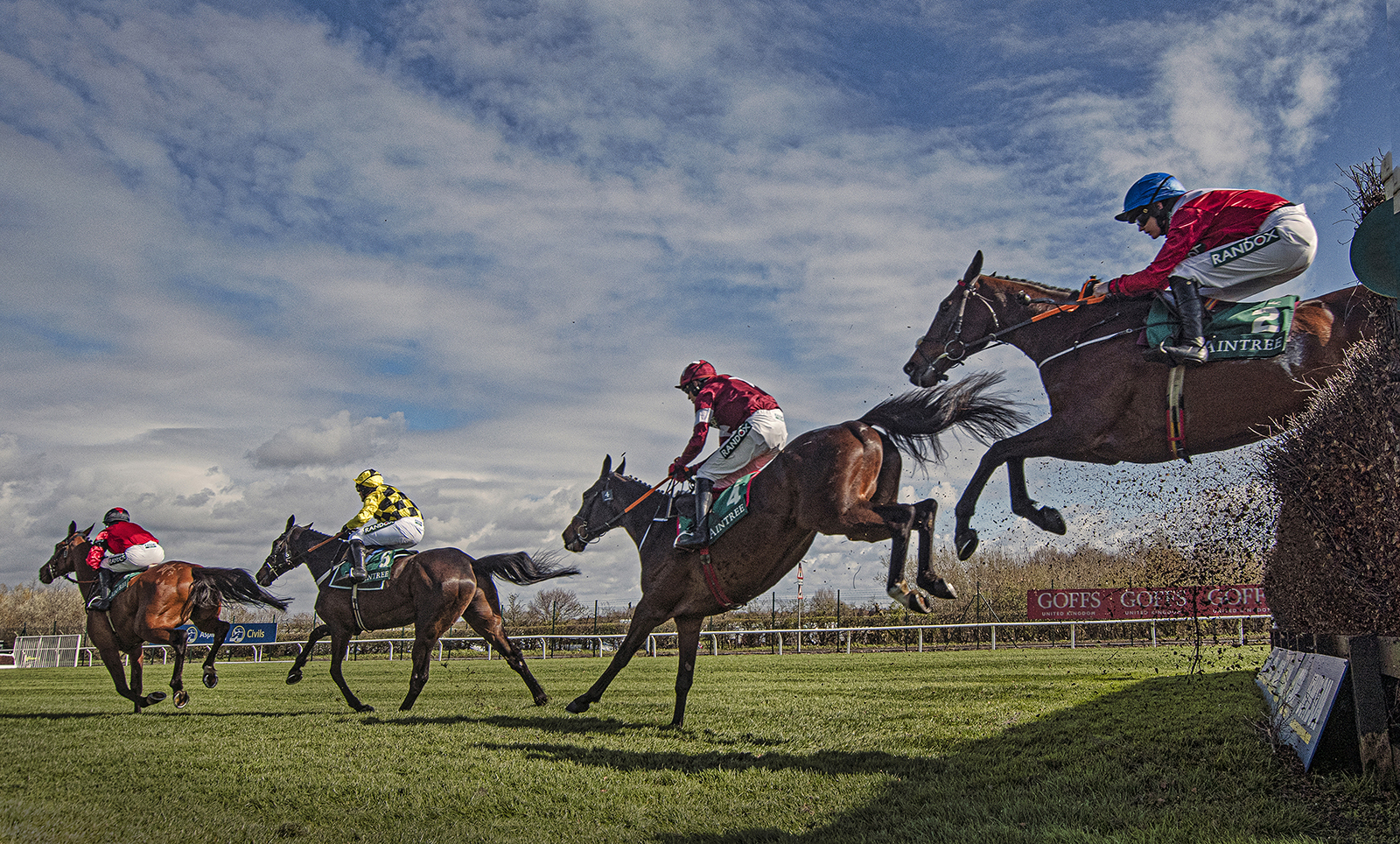 Commended in Colour Digital - Following The Leader by Brian Clark