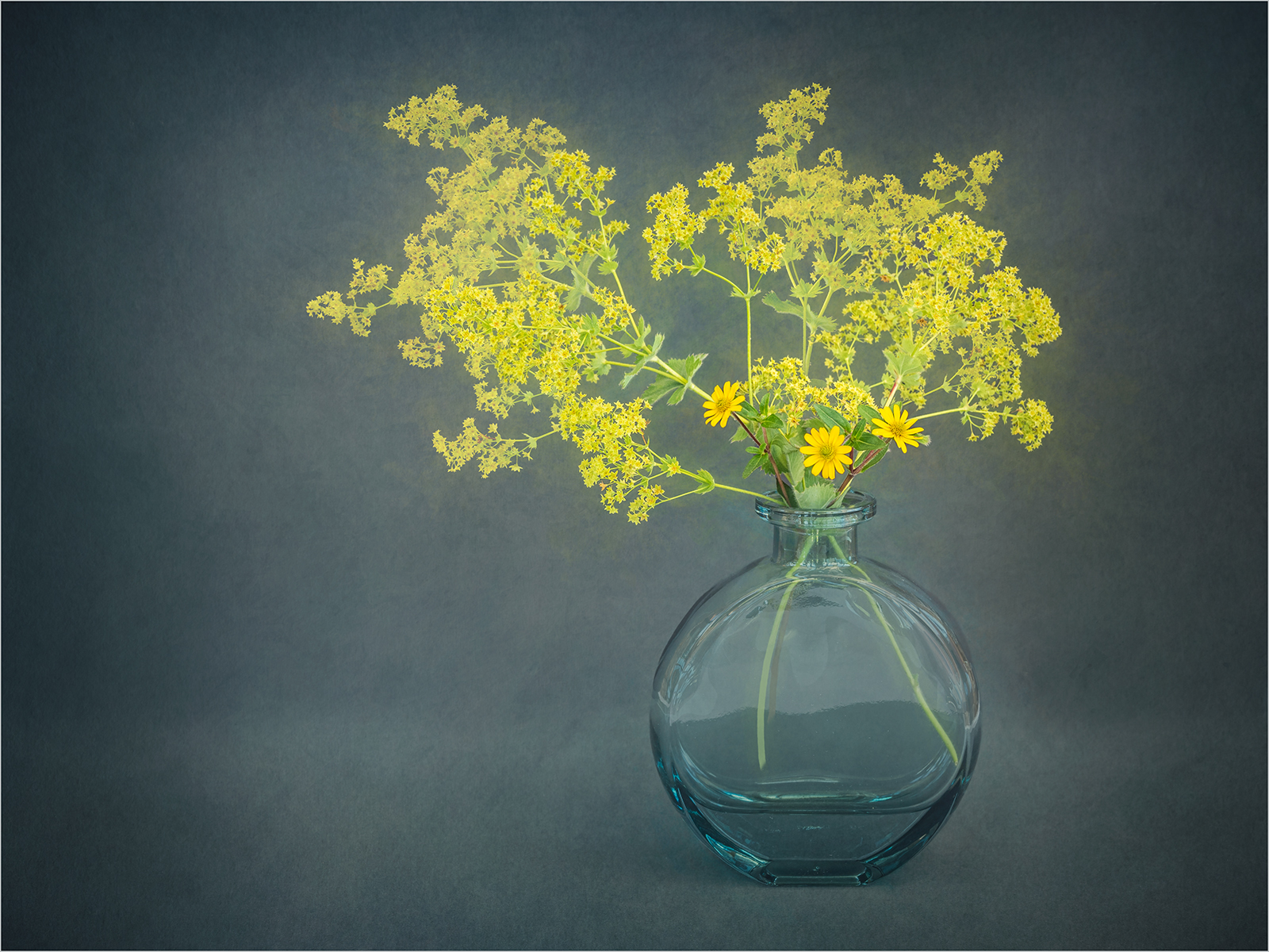 2nd Place in Colour Digital - Yellow Display by Carol Watson