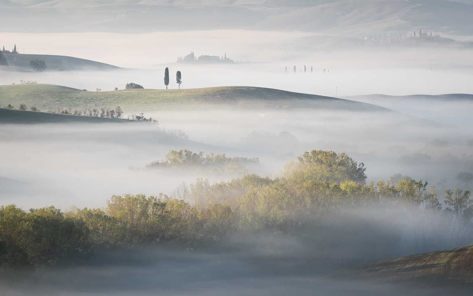 2nd Place in Scapes Digital - Misty Morning Val D'orcia by Carol Watson