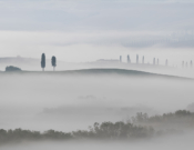 Tuscan Mist By Gordon Watson