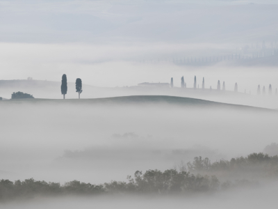 Tuscan Mist By Gordon Watson