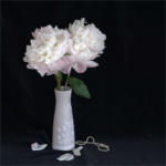 Peonies