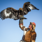 Mongolian Eagle Hunter