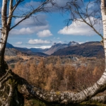 Naturally Framed