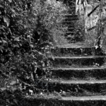 A Less Trodden Way