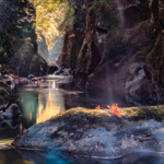 Fairy Glen Shafts Of Light