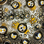 Daisy Drops
