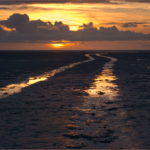 Into The Sunset