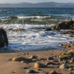 A Shore