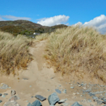 Beach - Barmouth