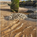 Sea Sand Stones And Seaweed