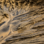 Fishy Impression In The Sand