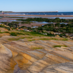 Rocky Shore