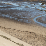 Estuary Beach