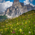 Early Summer In The Dolomites