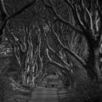 The Dark Hedges