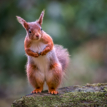 Strike A Pose