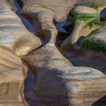 Rock Pools