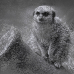 Animal Etchings