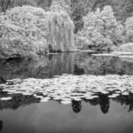 Gresgarth Lake
