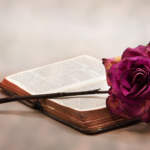 The Book And The Rose