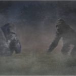 Gorillas In The Mist