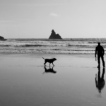 On The Beach