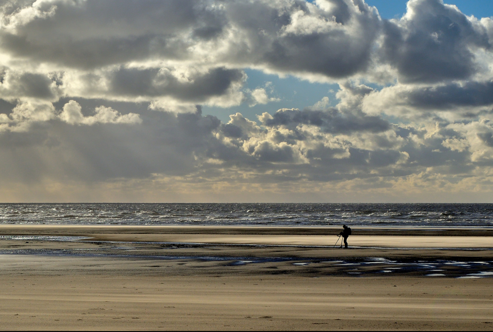 The Lonely Metal Detectorist by David Foreman
