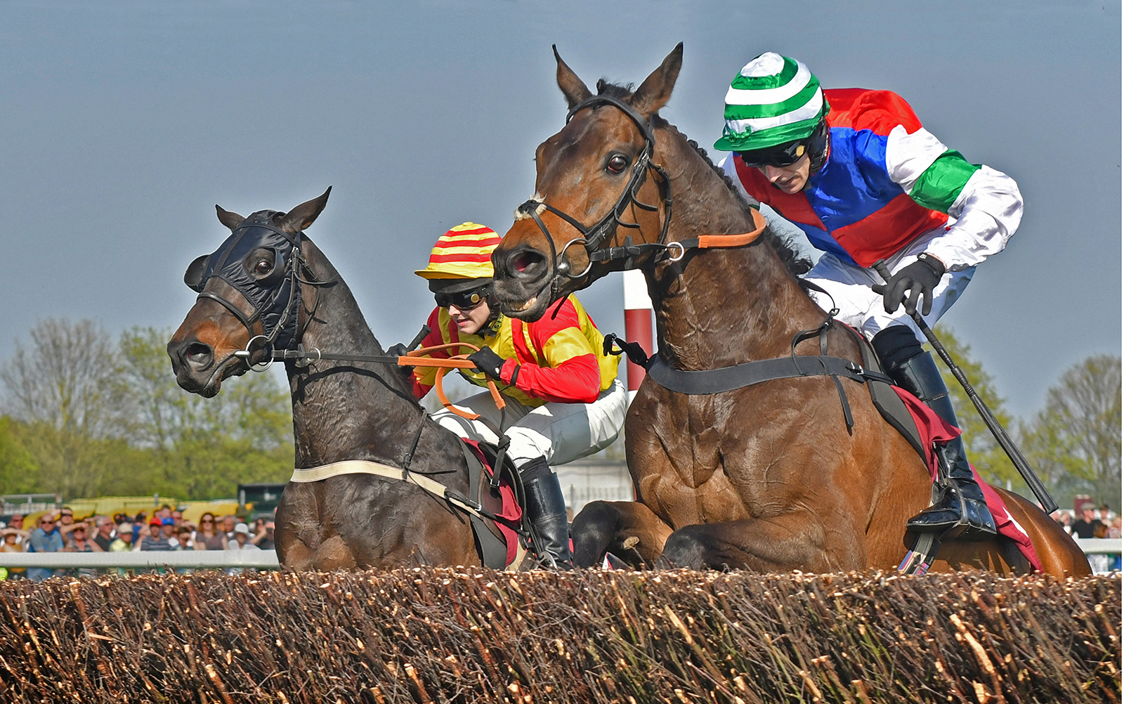 Equine Power by Brian Clark