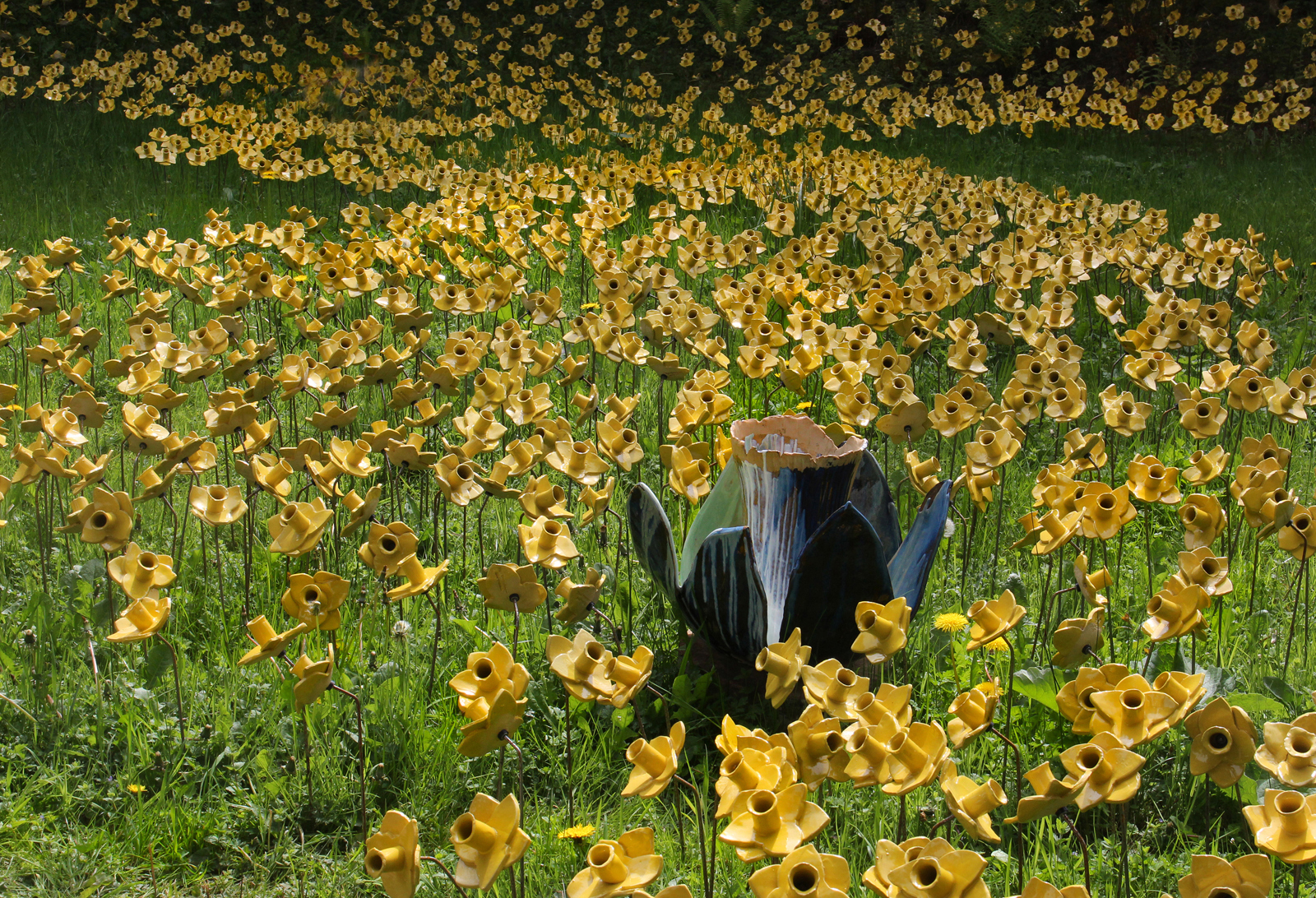 Ceramic Daffodil Display by Mary Woodland — Score: 17 pts