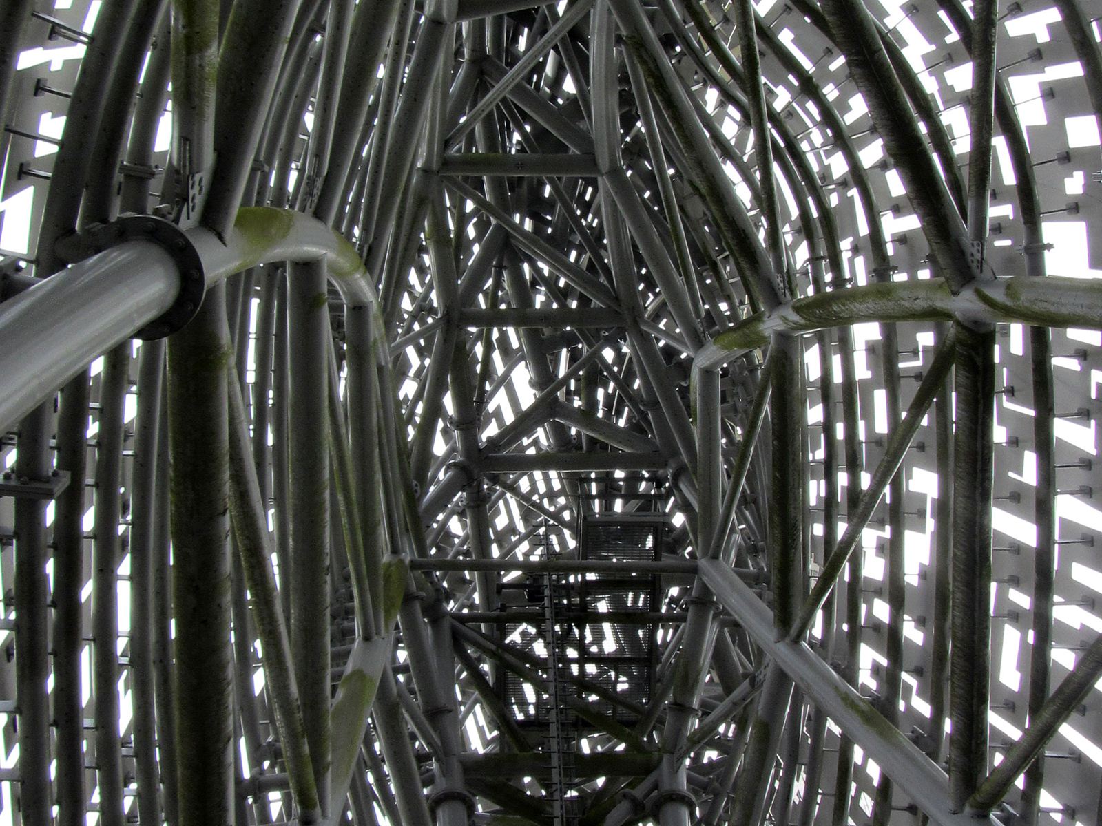 Inside A Kelpie by Mary Woodland — Score: 15 pts