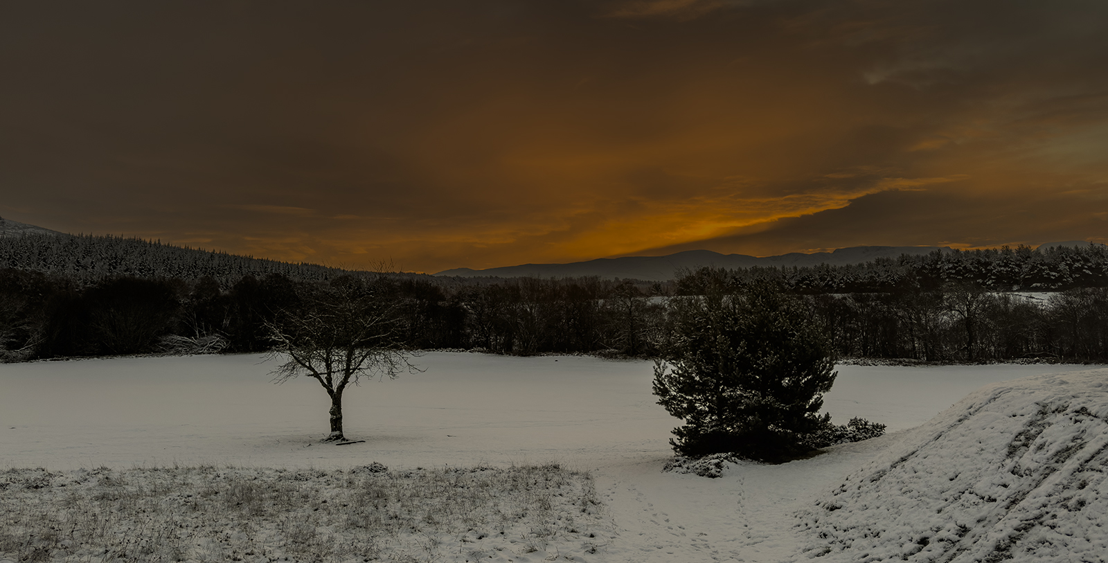 Cairngorms Sun Rise by Grant Douse