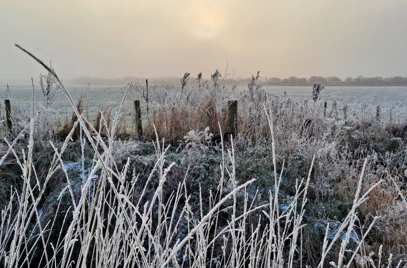 A Winters Morning by Alan Yardley