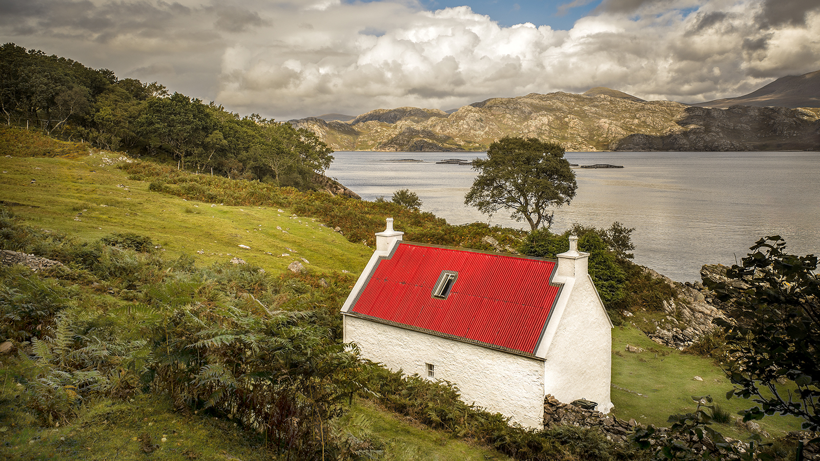 Red Roof Cottage At Loch Shieldaig by Elaine Cook