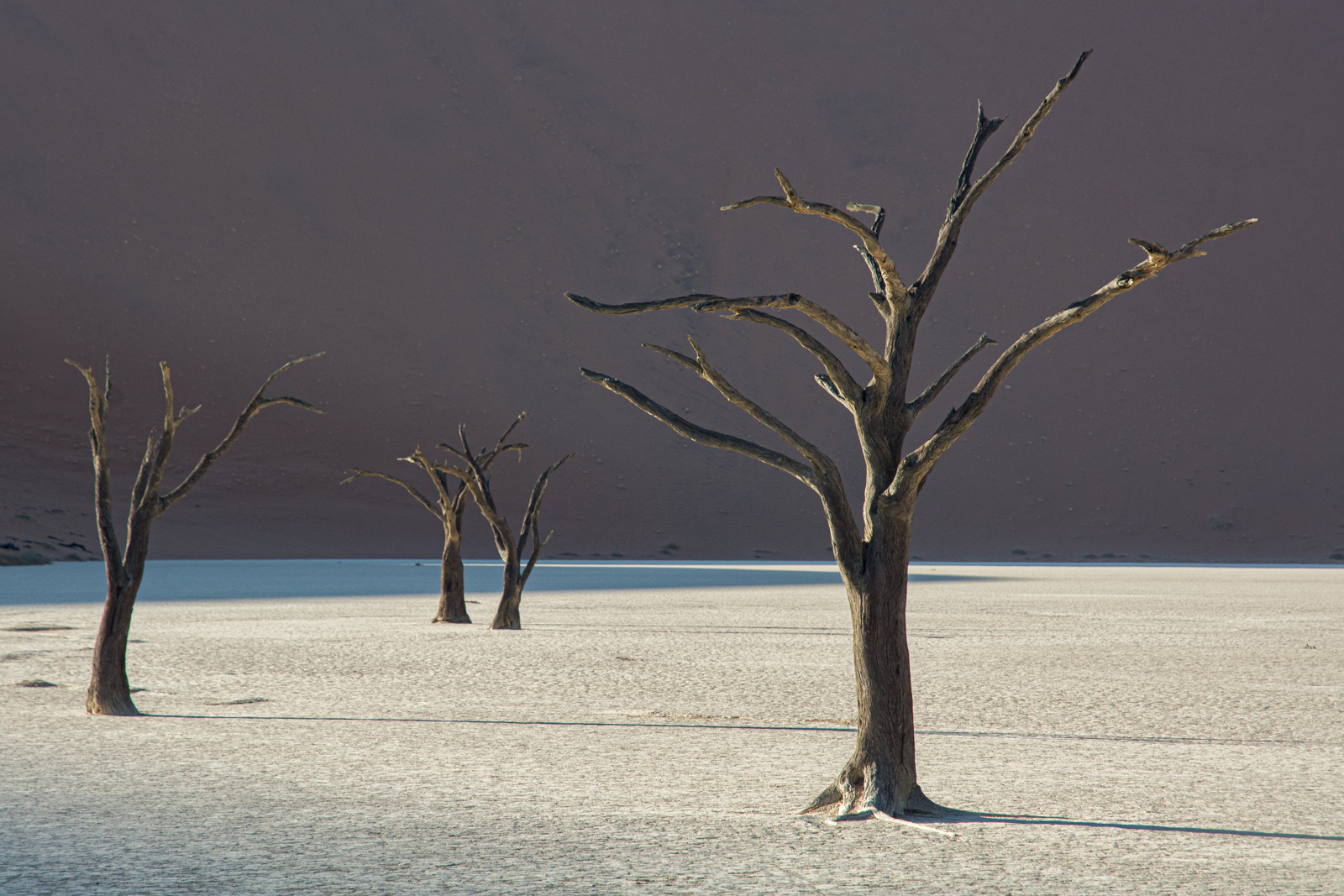 A New Dawn At Dead Vlei by Mary Kirkby