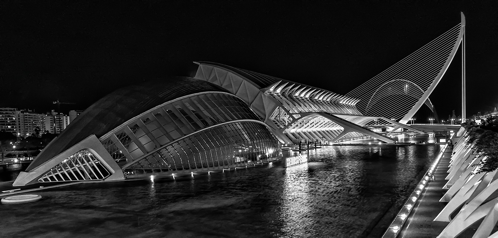 City Of Arts And Sciences Night View by Sheila Giles