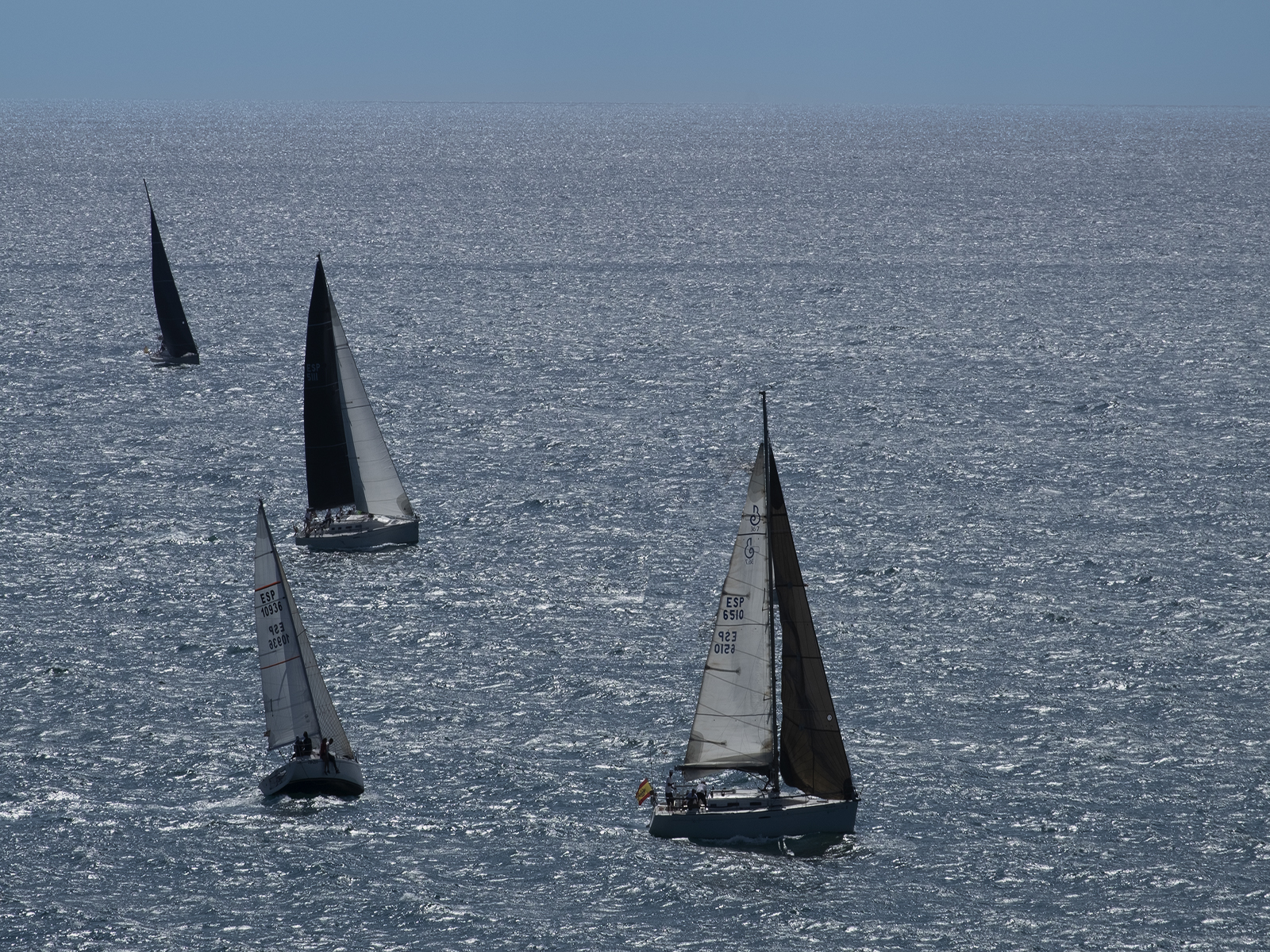 Mediterranean Regatta by John Scott